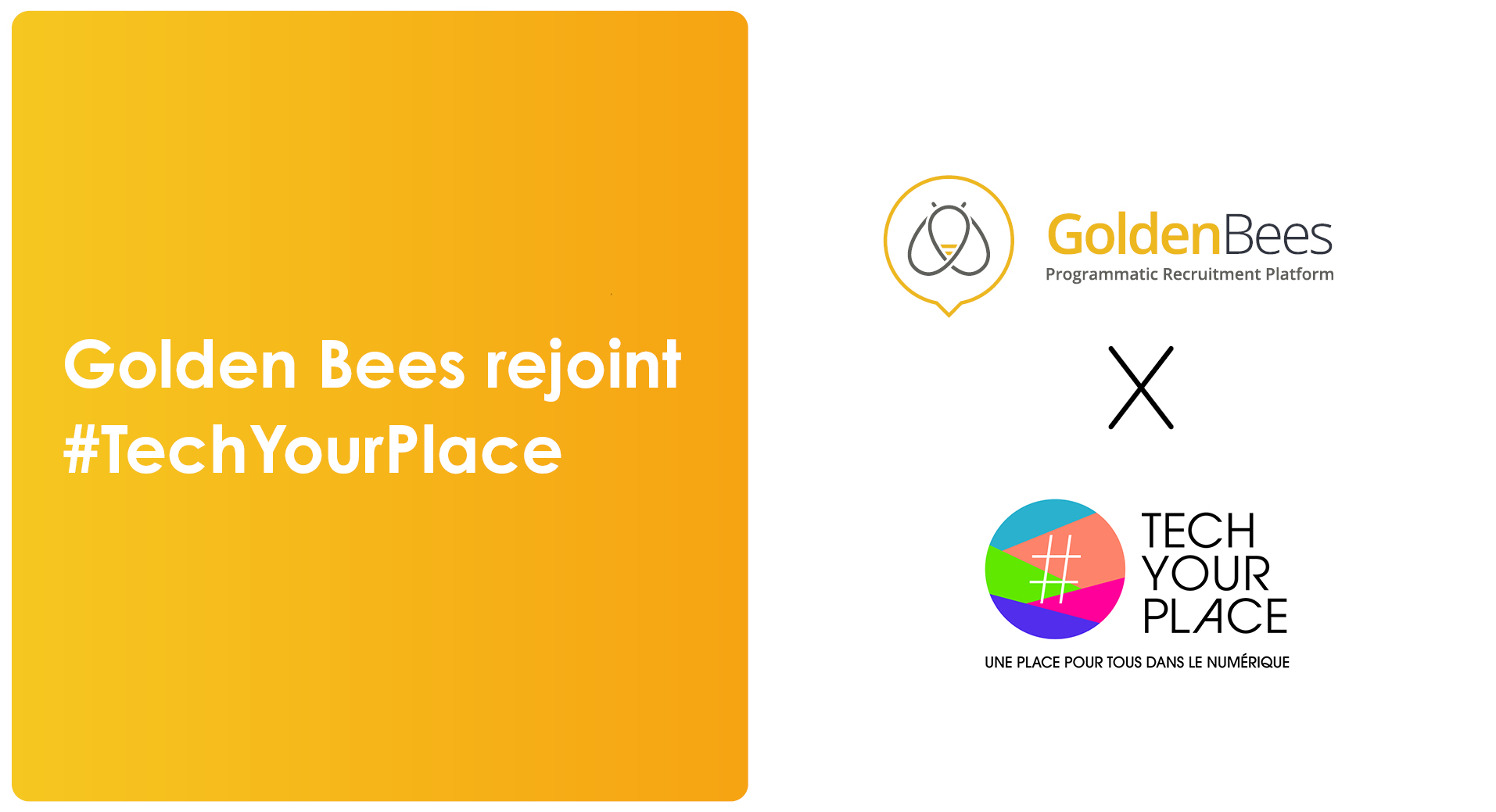 visu article Golden Bees rejoint Tech your place